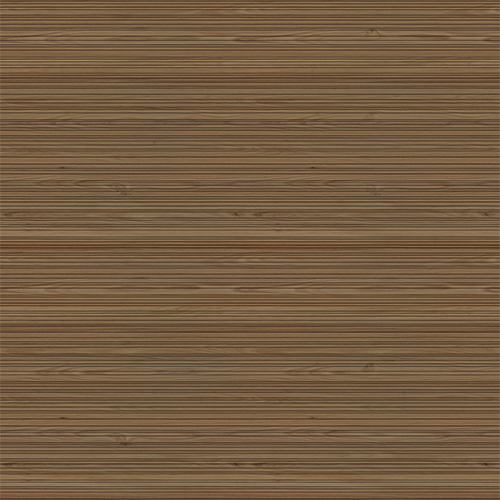 AMERICAN ELM SW