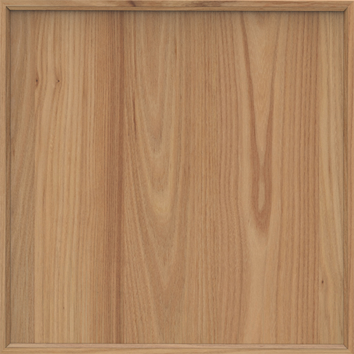 AMERICAN ELM SW